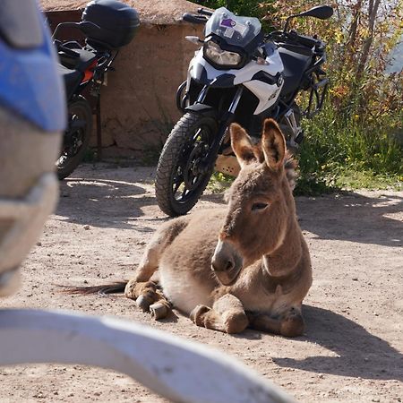 Kasbah Timdaf Ξενοδοχείο Demnat Εξωτερικό φωτογραφία