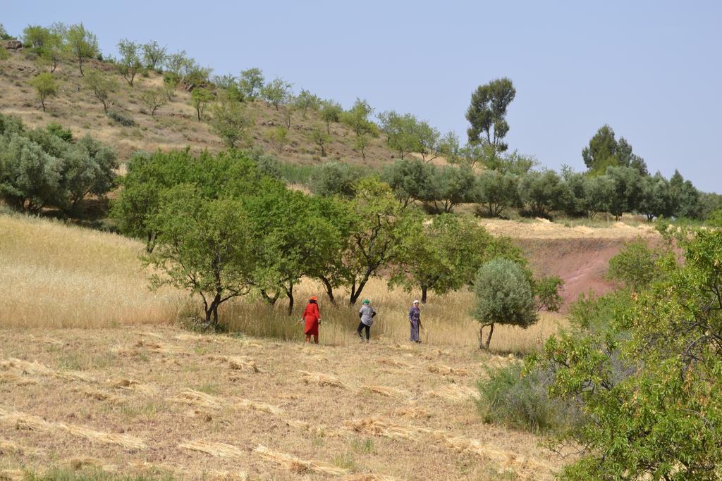 Kasbah Timdaf Ξενοδοχείο Demnat Εξωτερικό φωτογραφία