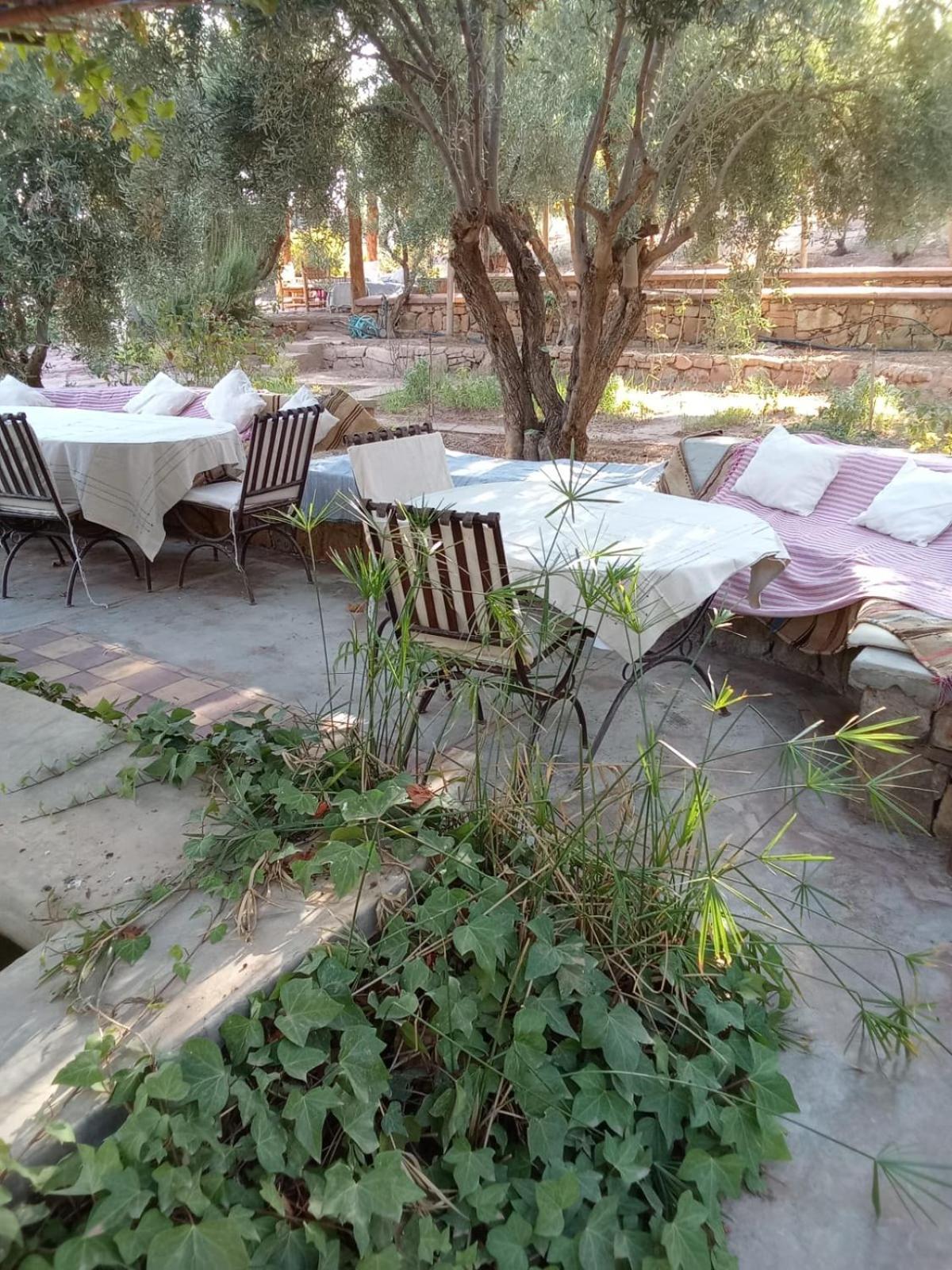Kasbah Timdaf Ξενοδοχείο Demnat Εξωτερικό φωτογραφία