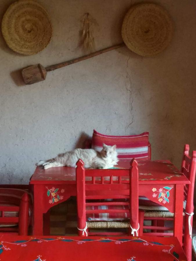 Kasbah Timdaf Ξενοδοχείο Demnat Εξωτερικό φωτογραφία